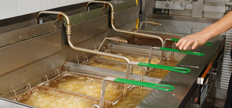 Kelvinator Commercial Fryer Repair in Thornhill 